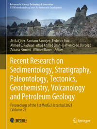 Vorderes Coverbild Recent Research on Sedimentology, Stratigraphy, Paleontology, Tectonics, Geochemistry, Volcanology and Petroleum Geology