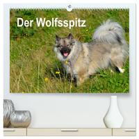 Vorderes Coverbild Der Wolfsspitz (hochwertiger Premium Wandkalender 2025 DIN A2 quer), Kunstdruck in Hochglanz
