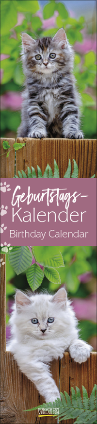 Vorderes Coverbild Geburtstags-Langplaner Cats