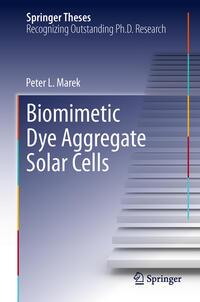 Vorderes Coverbild Biomimetic Dye Aggregate Solar Cells