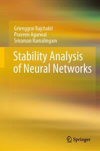 Vorderes Coverbild Stability Analysis of Neural Networks