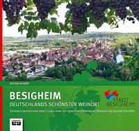 Vorderes Coverbild Besigheim