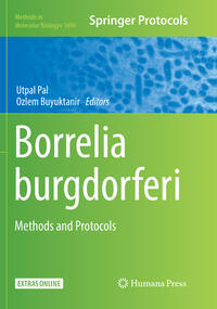 Vorderes Coverbild Borrelia burgdorferi
