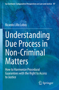 Vorderes Coverbild Understanding Due Process in Non-Criminal Matters