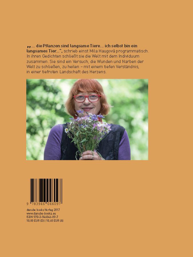Rückseitencover Langsame Bogenschützin