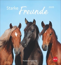 Vorderes Coverbild Pferde Postkartenkalender 2026 - Starke Freunde