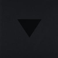 Vorderes Coverbild The Black Triangle