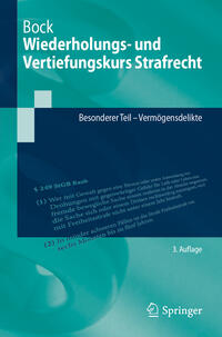 Vorderes Coverbild Wiederholungs- und Vertiefungskurs Strafrecht