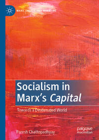 Vorderes Coverbild Socialism in Marx’s Capital