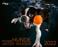 Vorderes Coverbild Hunde unter Wasser 2022