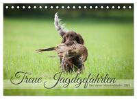 Vorderes Coverbild Treue Jagdgefährten Der kleine Münsterländer (Tischkalender 2025 DIN A5 quer), CALVENDO Monatskalender