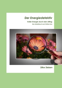 Vorderes Coverbild Der Energiedetektiv