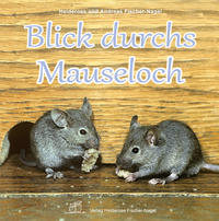 Vorderes Coverbild Blick durchs Mauseloch