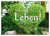Vorderes Coverbild Leben! - Nachdenk-Kalender (Wandkalender 2025 DIN A4 quer), CALVENDO Monatskalender