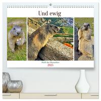 Vorderes Coverbild Und ewig pfeift das Murmeltier (hochwertiger Premium Wandkalender 2025 DIN A2 quer), Kunstdruck in Hochglanz