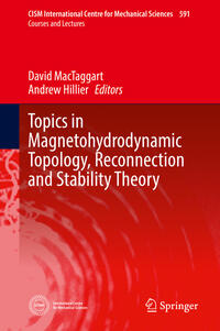 Vorderes Coverbild Topics in Magnetohydrodynamic Topology, Reconnection and Stability Theory