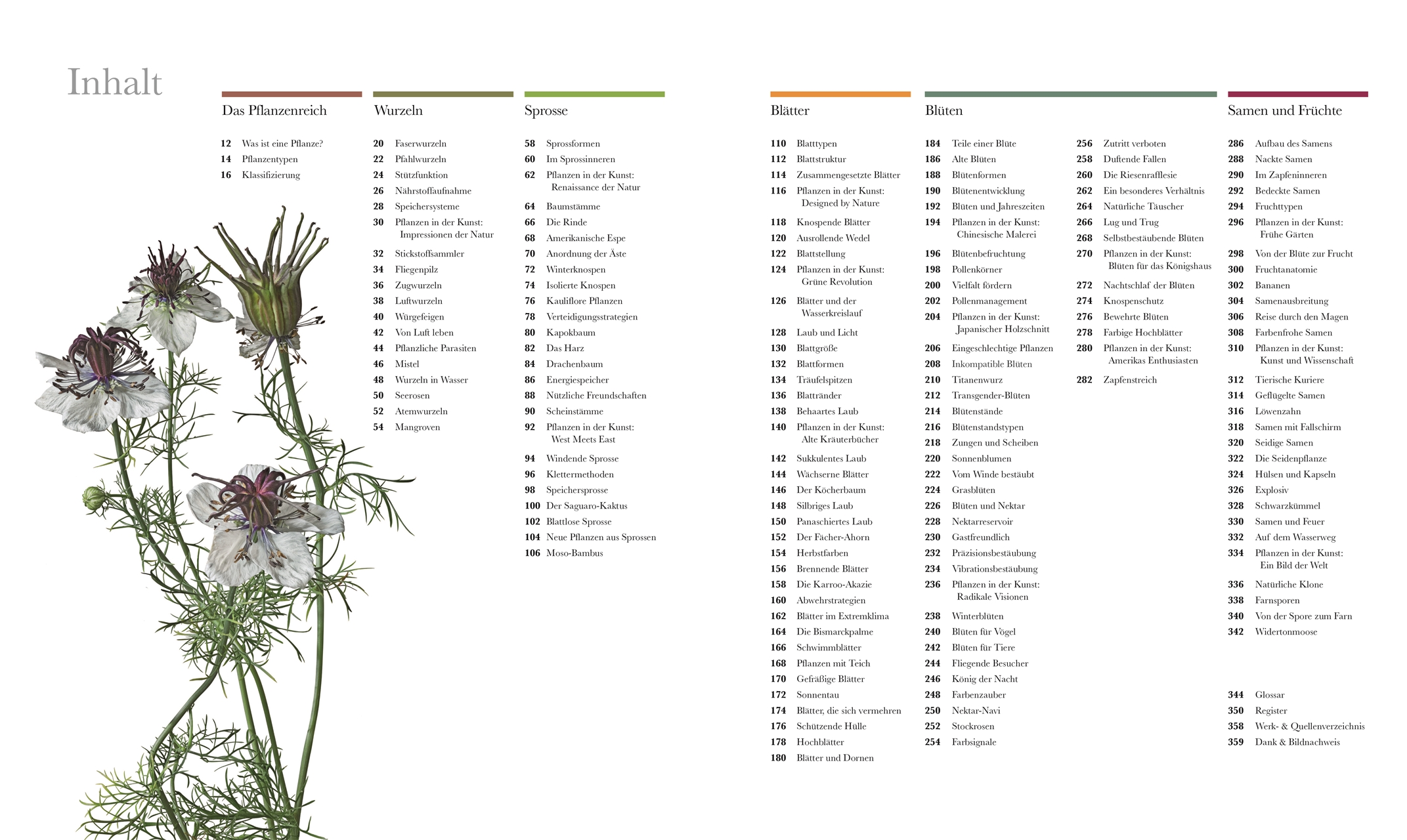 Beispielinhalt (Bild) Flora – Wunderwelt der Pflanzen