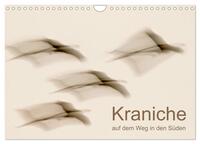 Vorderes Coverbild Kraniche auf dem Weg nach Süden (Wandkalender 2025 DIN A4 quer), CALVENDO Monatskalender