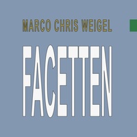 Vorderes Coverbild Facetten