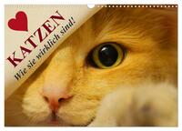 Vorderes Coverbild Katzen • Wie sie wirklich sind! (Wandkalender 2025 DIN A3 quer), CALVENDO Monatskalender