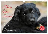 Vorderes Coverbild Mein bester Freund - Der Hovawart (Wandkalender 2025 DIN A3 quer), CALVENDO Monatskalender