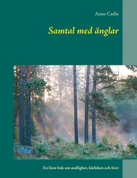 Vorderes Coverbild Samtal med änglar