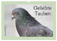 Vorderes Coverbild Geliebte Tauben (Wandkalender 2025 DIN A3 quer), CALVENDO Monatskalender