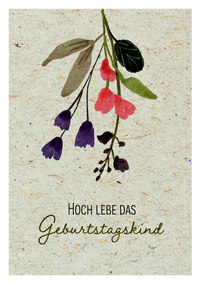 Vorderes Coverbild Hoch lebe das Geburtstagskind