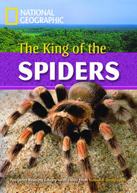 Vorderes Coverbild The King of the Spiders