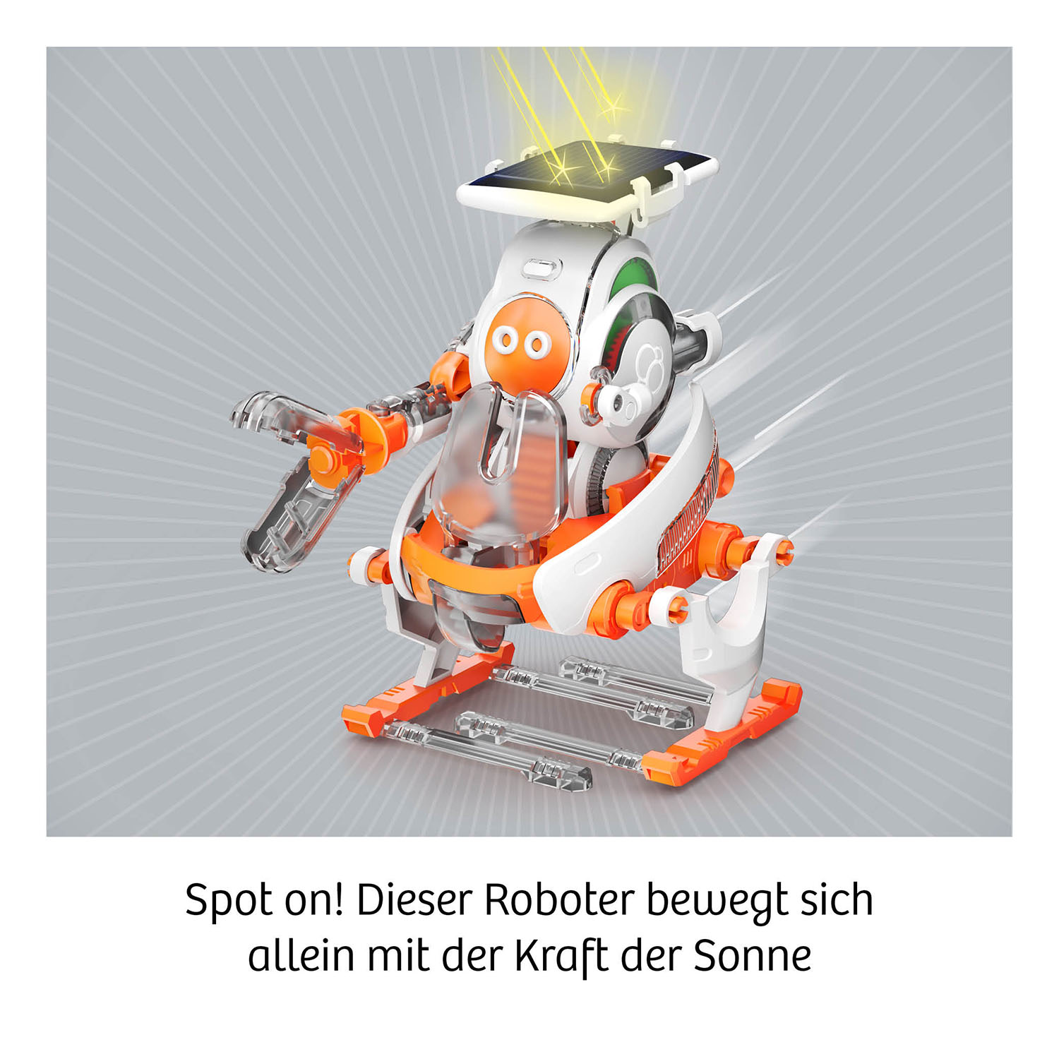 Beispielinhalt (Bild) Solar Bots INT