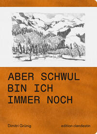 Vorderes Coverbild Aber schwul bin ich immer noch