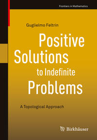 Vorderes Coverbild Positive Solutions to Indefinite Problems