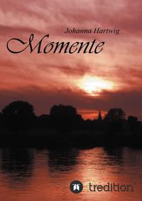 Vorderes Coverbild Momente
