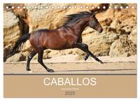 Vorderes Coverbild Caballos Spanische Pferde 2025 (Tischkalender 2025 DIN A5 quer), CALVENDO Monatskalender
