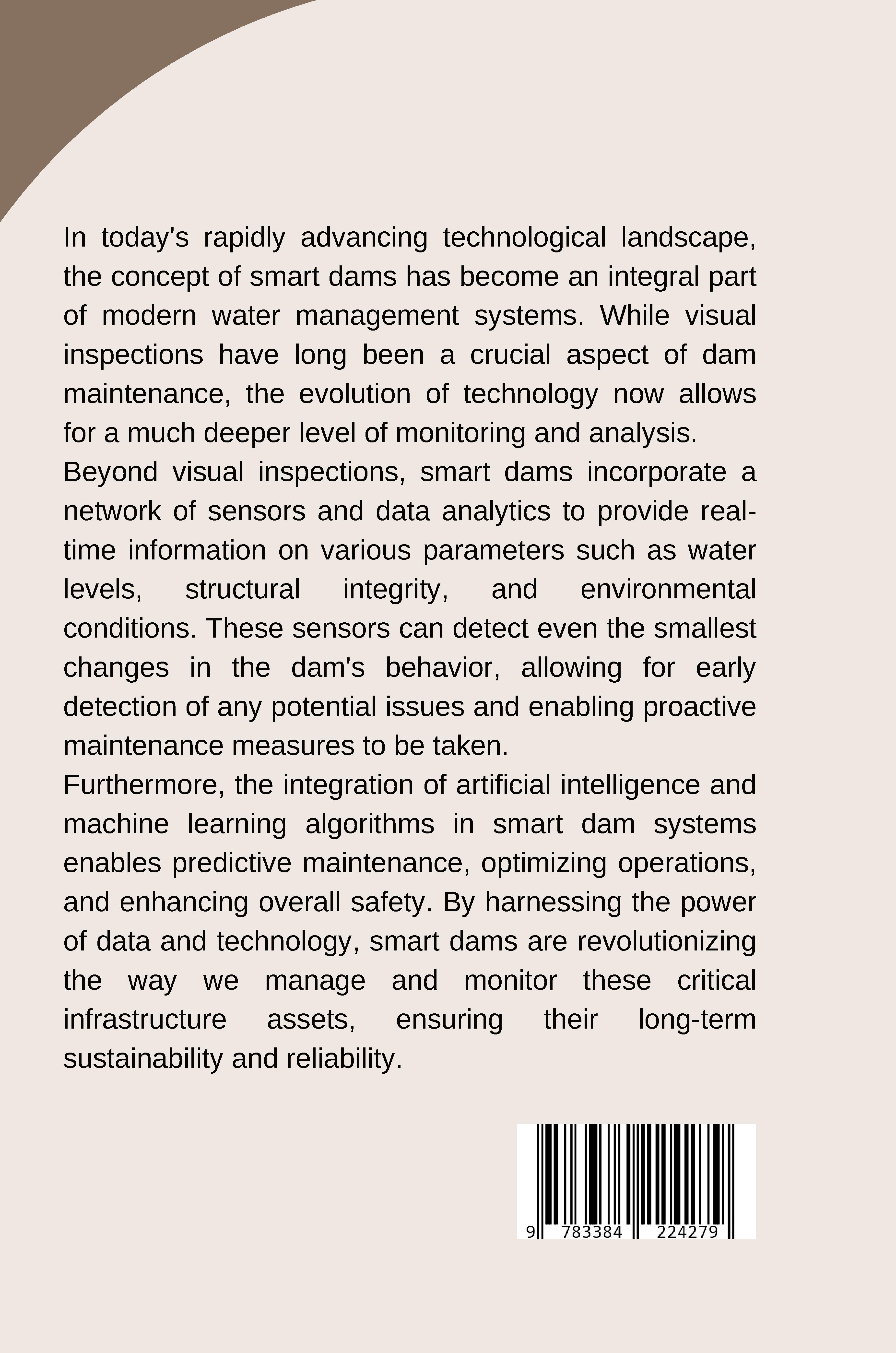 Rückseitencover Smart Dams: Beyond Visual