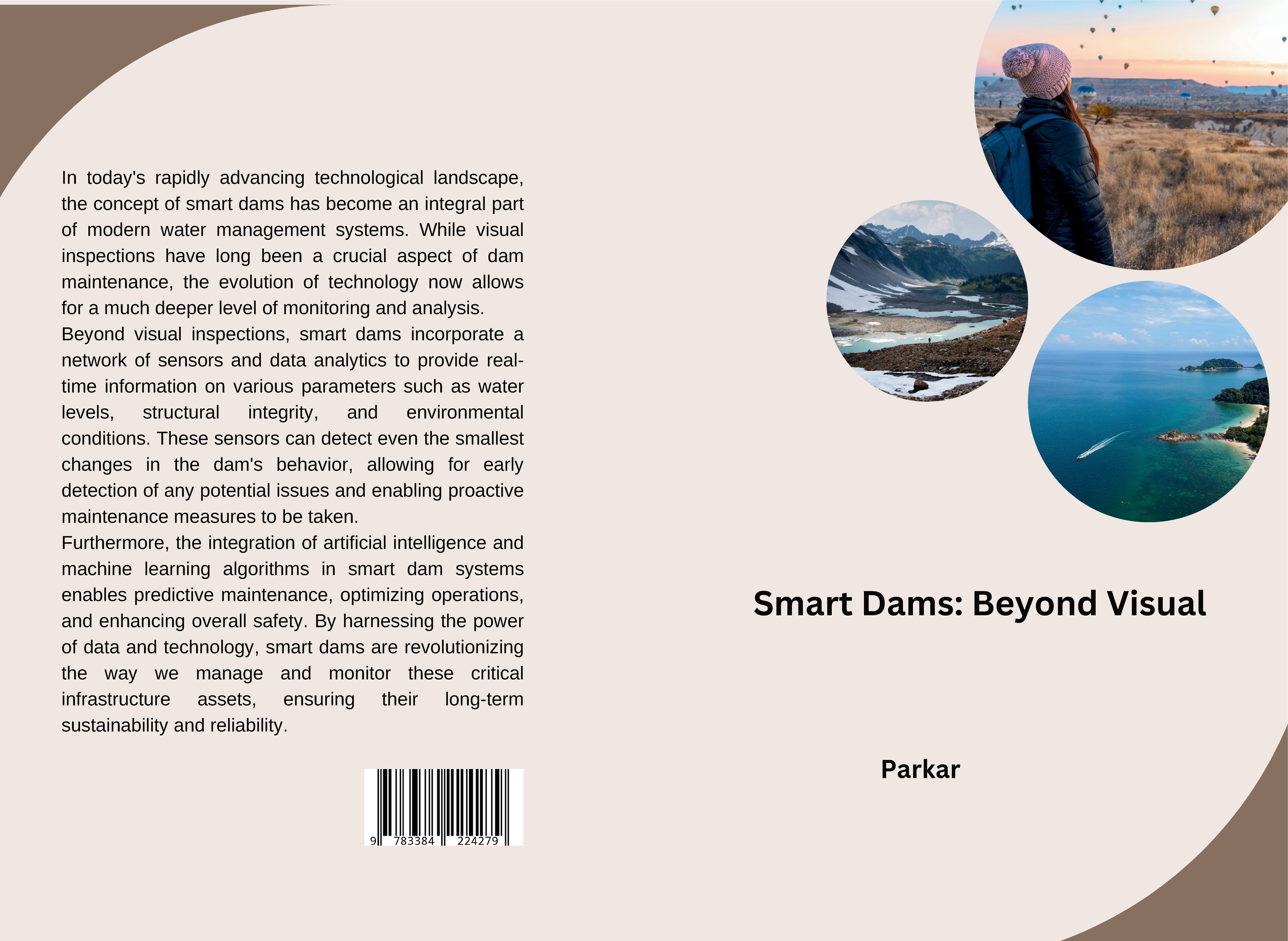 Gesamtes Coverbild Smart Dams: Beyond Visual