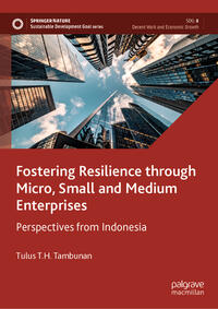 Vorderes Coverbild Fostering Resilience through Micro, Small and Medium Enterprises