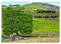 Vorderes Coverbild Snowdonia - Wales' wilder Norden (Wandkalender 2025 DIN A4 quer), CALVENDO Monatskalender