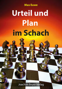 Vorderes Coverbild Urteil und Plan im Schach