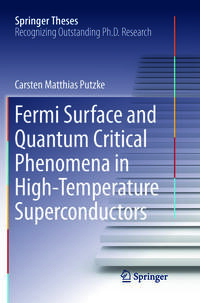 Vorderes Coverbild Fermi Surface and Quantum Critical Phenomena of High-Temperature Superconductors
