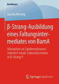 Vorderes Coverbild ß-Strang-Ausbildung eines Faltungsintermediates von BamA