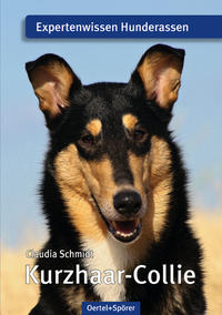 Vorderes Coverbild Kurzhaar-Collie