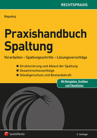 Vorderes Coverbild Praxishandbuch Spaltung