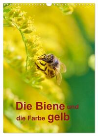 Vorderes Coverbild Die Biene und die Farbe gelb (Wandkalender 2026 DIN A3 hoch), CALVENDO Monatskalender