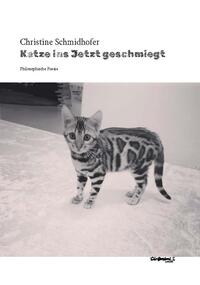 Vorderes Coverbild Katze ins Jetzt geschmiegt