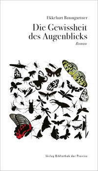 Vorderes Coverbild Die Gewissheit des Augenblicks
