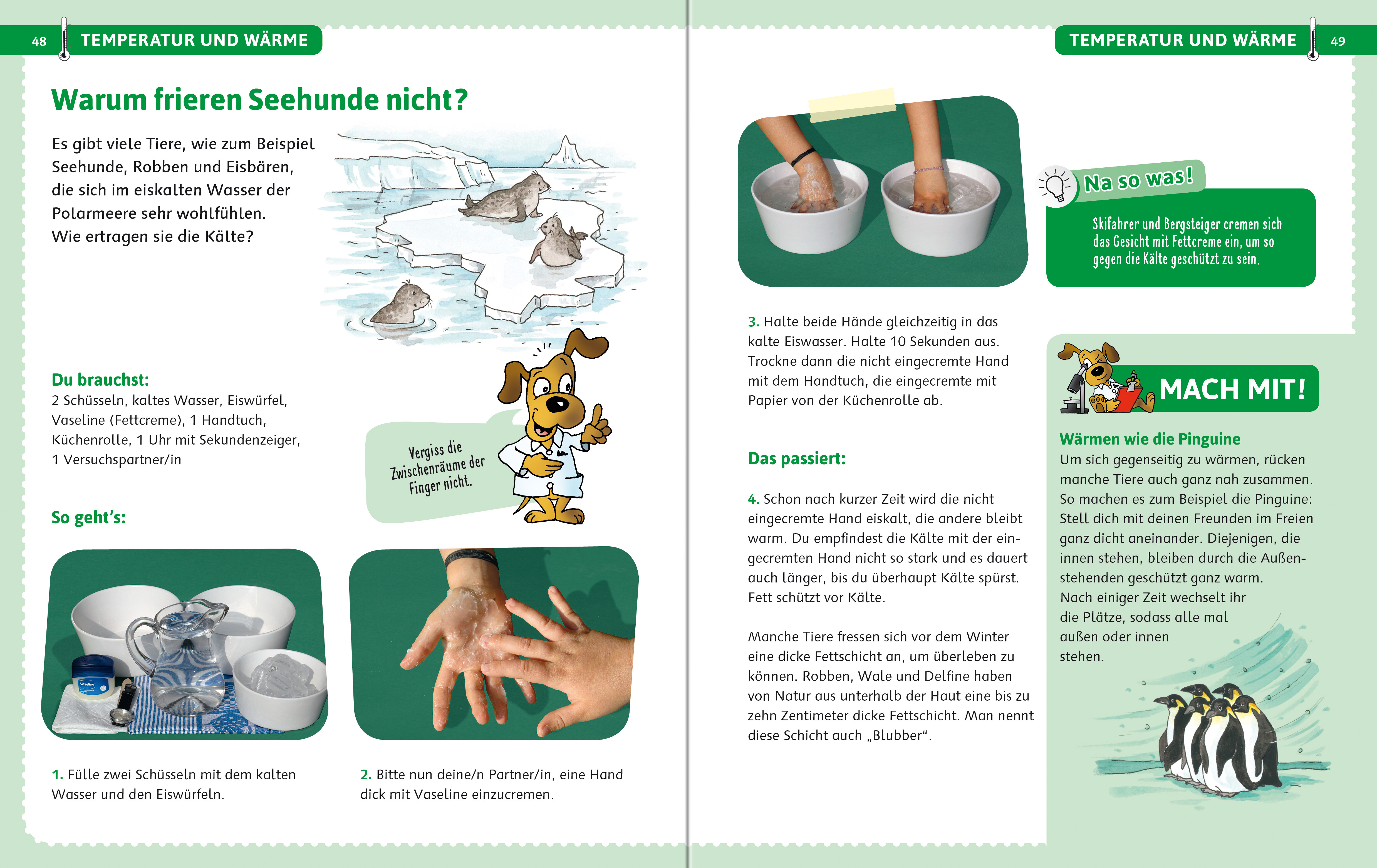 Beispielinhalt (Bild) Experimente für Kinder