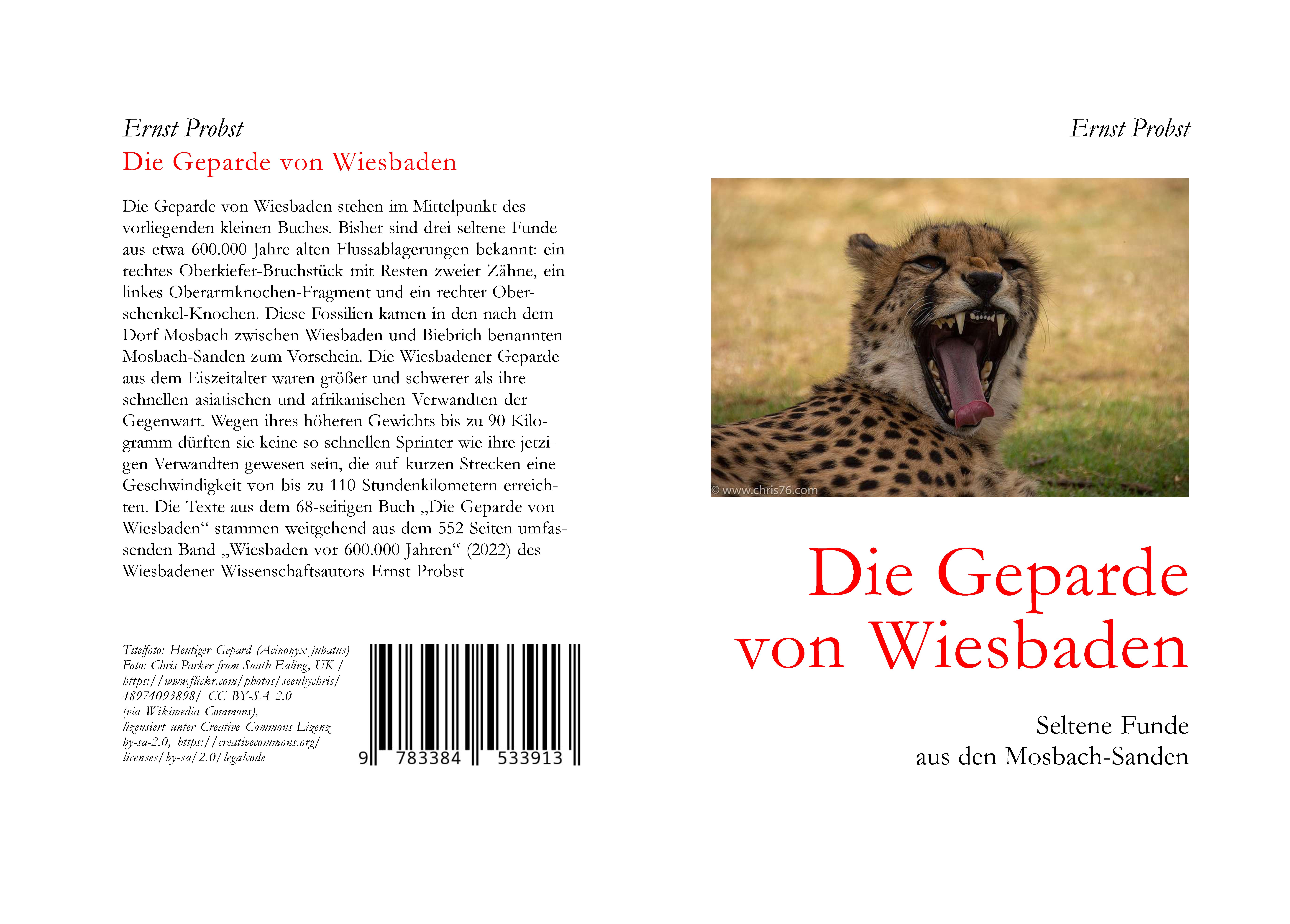 Gesamtes Coverbild Die Geparde von Wiesbaden