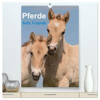 Vorderes Coverbild Pferde Gute Freunde (hochwertiger Premium Wandkalender 2025 DIN A2 hoch), Kunstdruck in Hochglanz