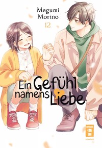 Vorderes Coverbild Ein Gefühl namens Liebe 12